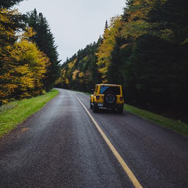 A jeep traveling down a road that is lined with pine trees on both sides.