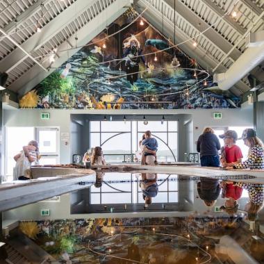 Huntsman Aquarium square