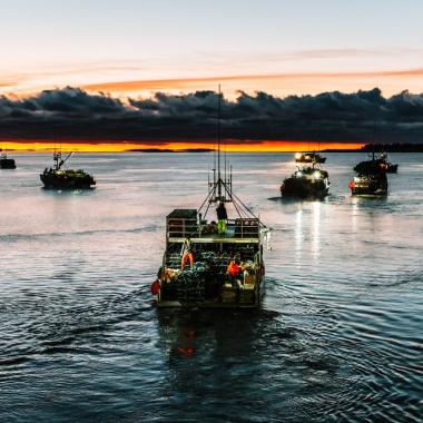 Grand Manan Fishing Fleet