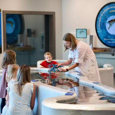 Homarus Centre, Shediac