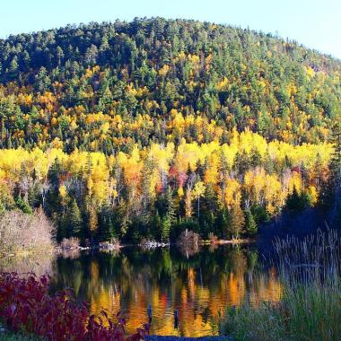 Sugarloaf Provincial Park - Lake