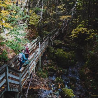 Fundy National Park Fall