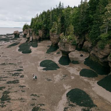 Hopewell Rocks