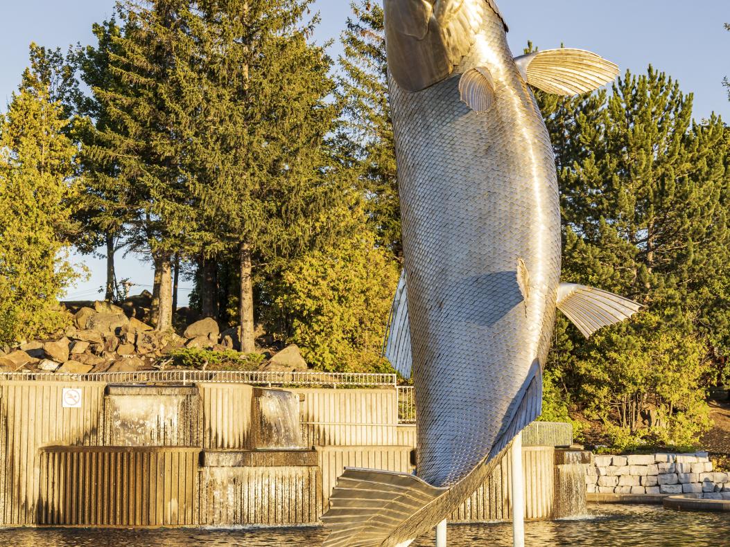 Campbellton Salmon Festival / ExploreNB / Tourism New Brunswick