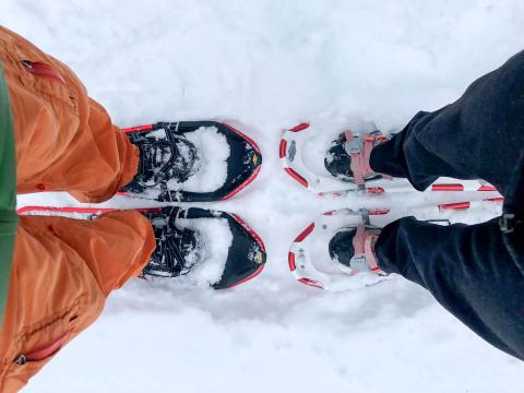 snowshoeing trails