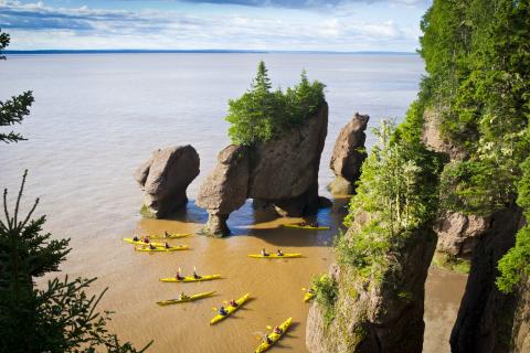 My day at the Hopewell Rocks: high tide and low tide exploring / # ...