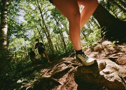 Hiking trail in New Brunswick (photo: Tourism New Brunswick)