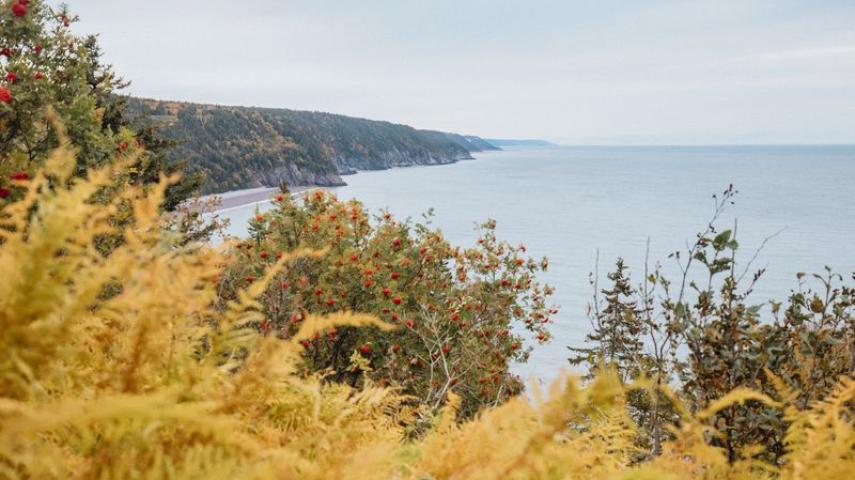 Fundy Trail Provincial Park / #ExploreNB / Tourism New Brunswick