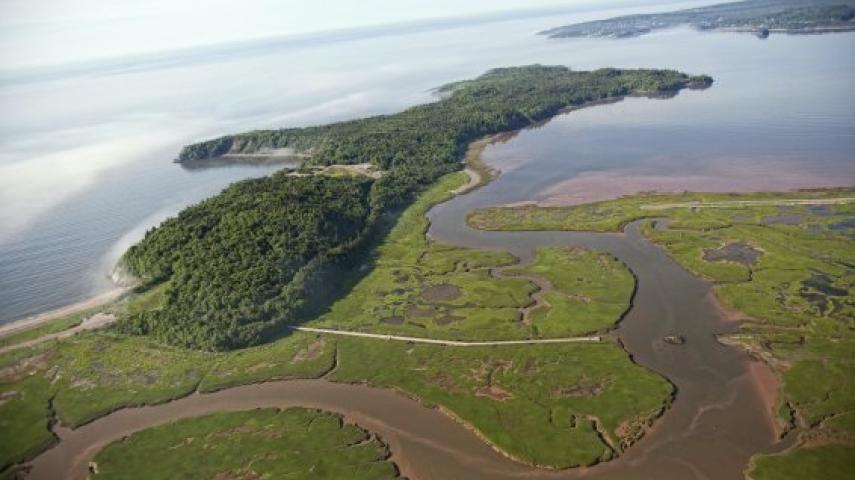 Saint John River (Bay of Fundy) - Wikipedia