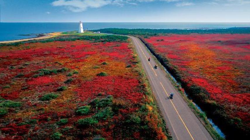 Fundy Coastal Drive / #ExploreNB / Tourism New Brunswick