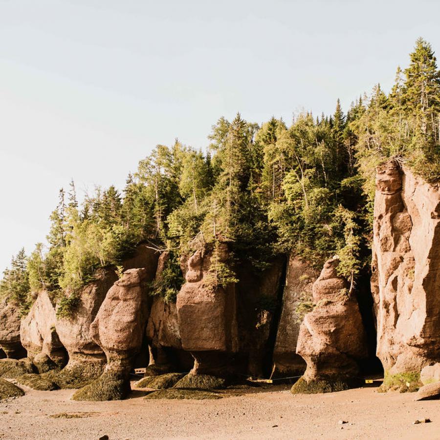 The Bay of Fundy 