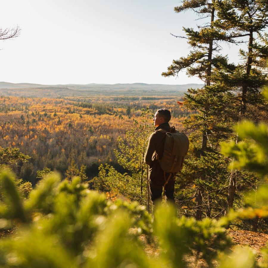 Bald Mountain in the fall - colours