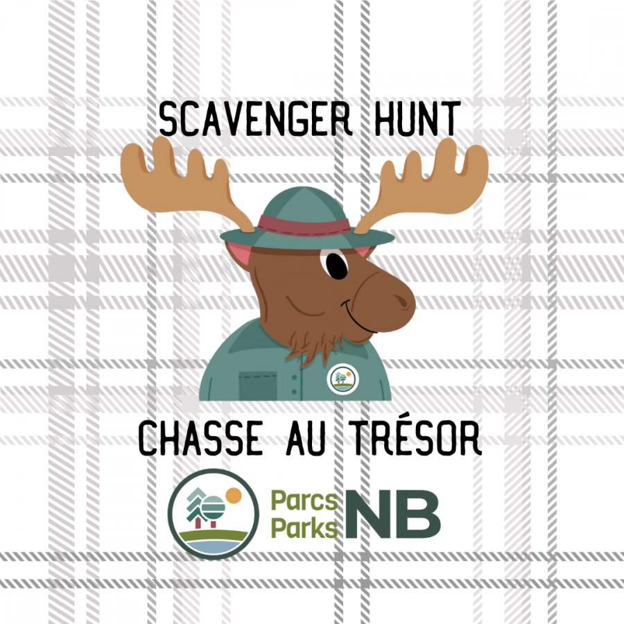 Scavenger Hunt Parks NB Bilingual