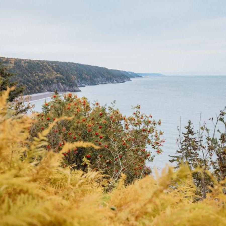 Fundy Trail Parkway