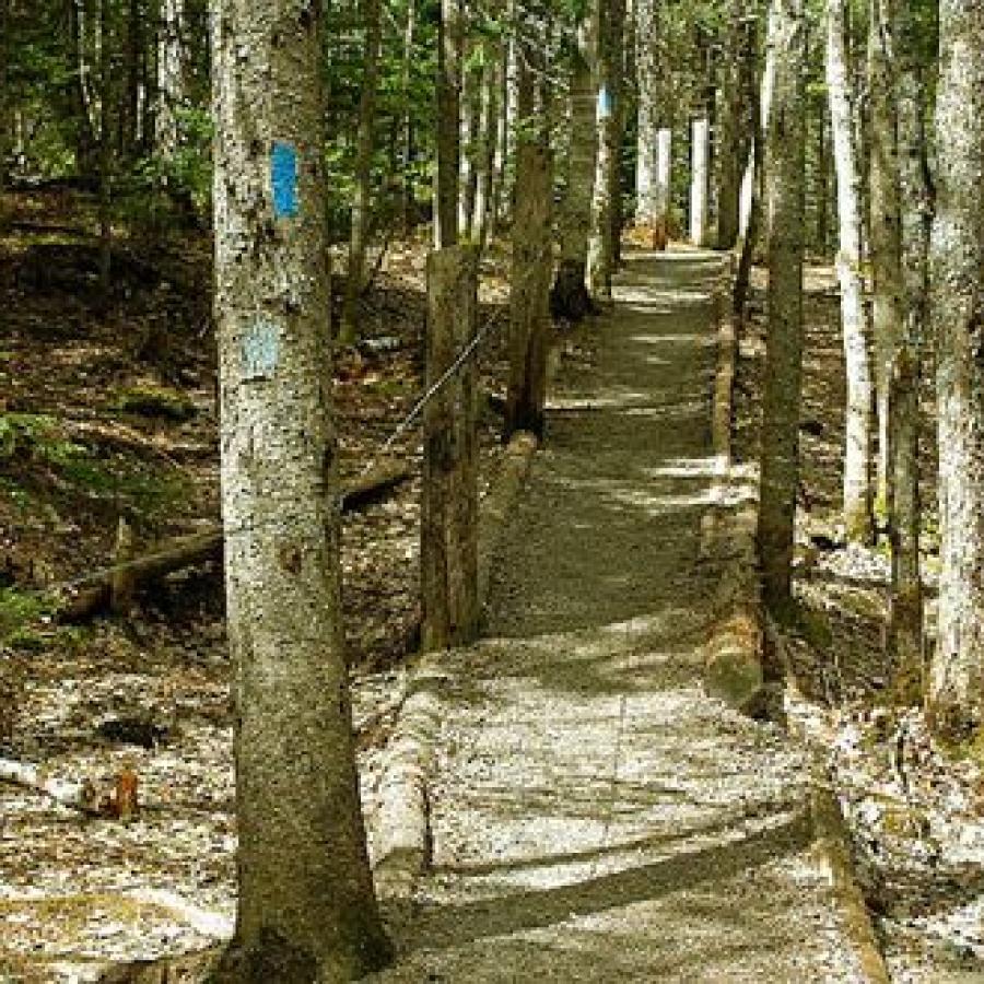 Hiking / #ExploreNB / Tourism New Brunswick - P DobsonTrail Rivervie 1