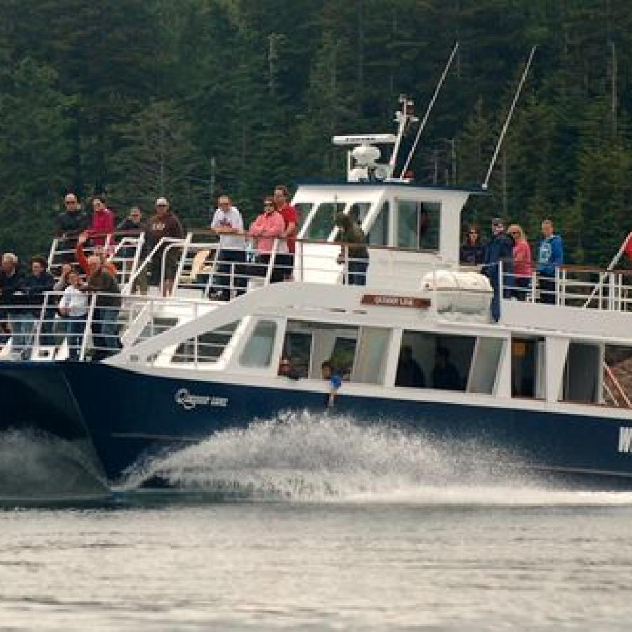 Whale-watching / #ExploreNB / Tourism New Brunswick