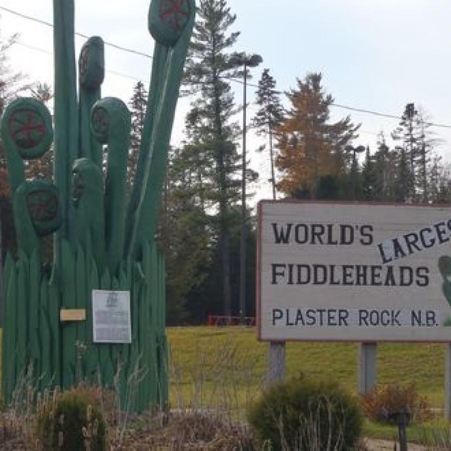 Village of Plaster Rock