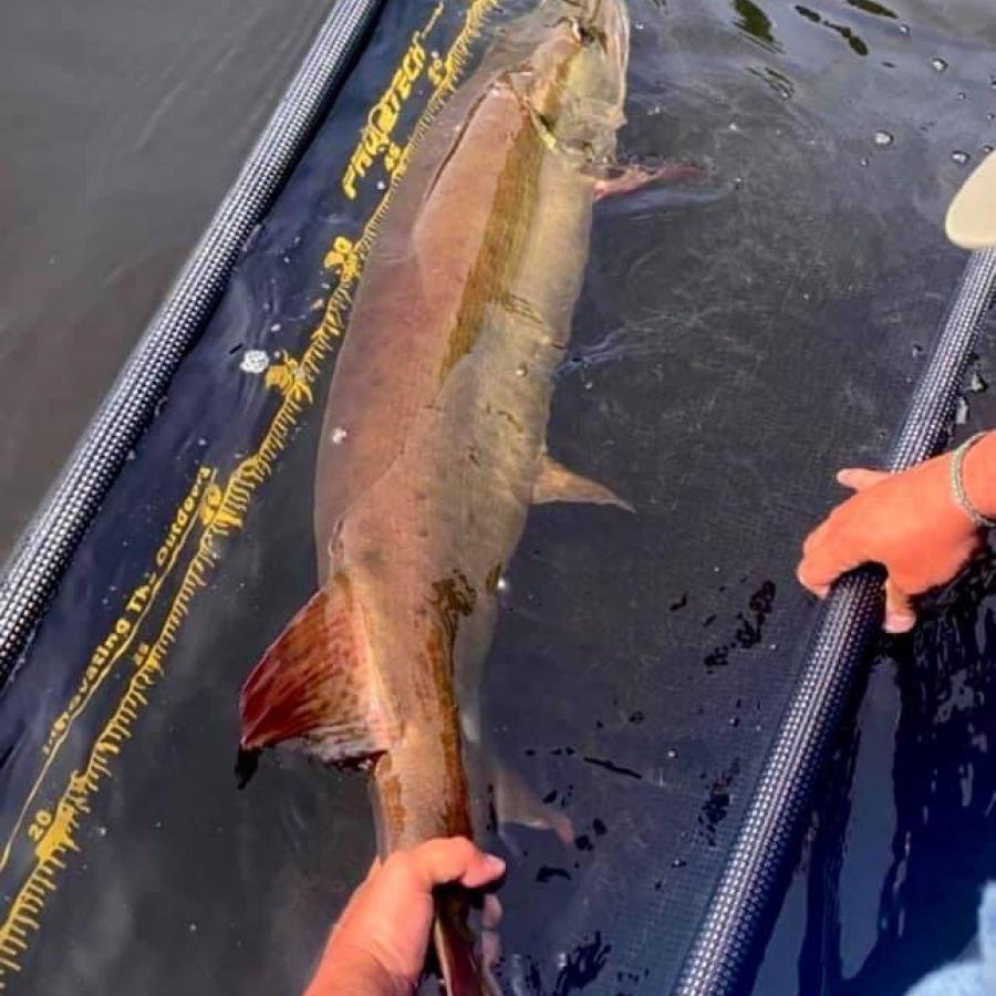 Fishing / #ExploreNB / Tourism New Brunswick