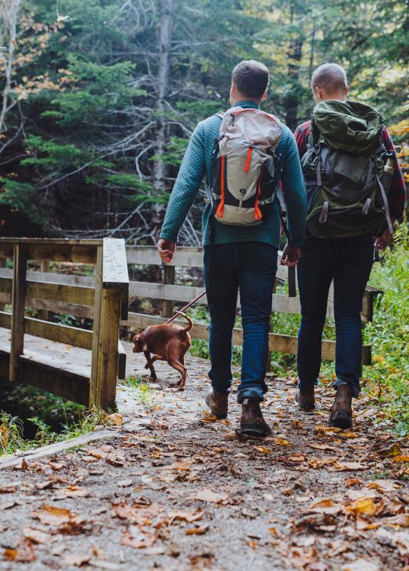 Fundy Trail