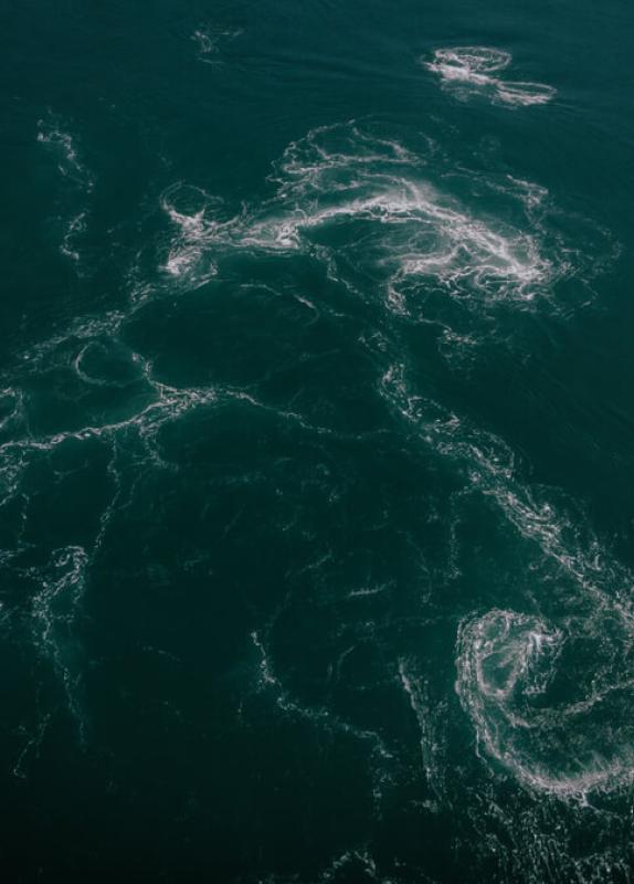 Old Sow Whirlpool from above
