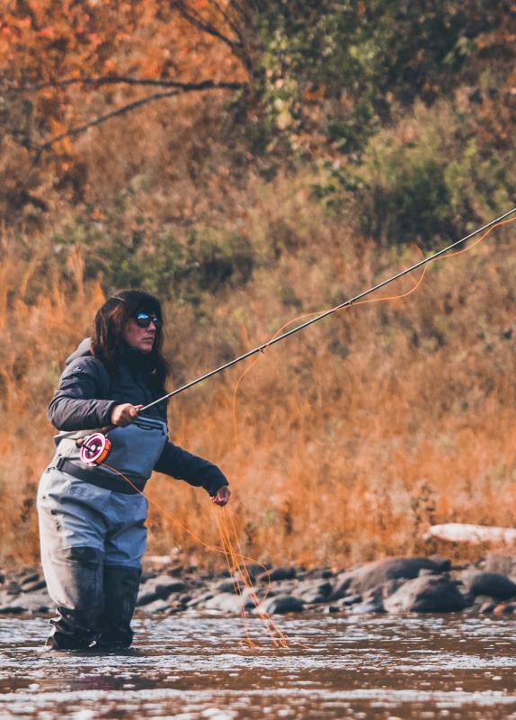 flow collective fish 2