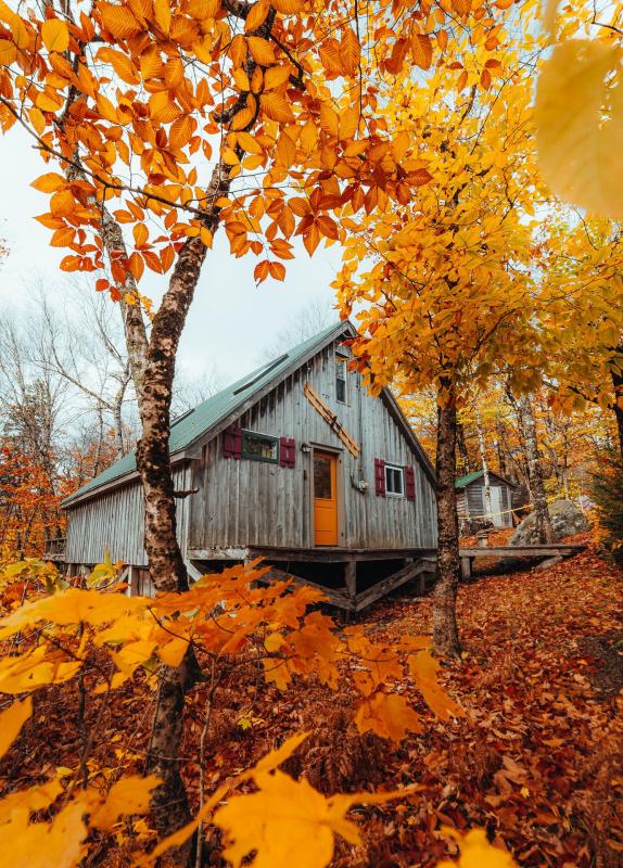 a cabin in the woods during fall