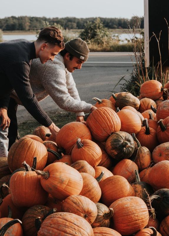 two people picking pumpkins