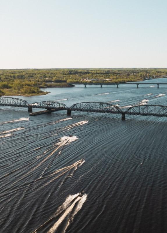 Miramichi Striper Cup from Above