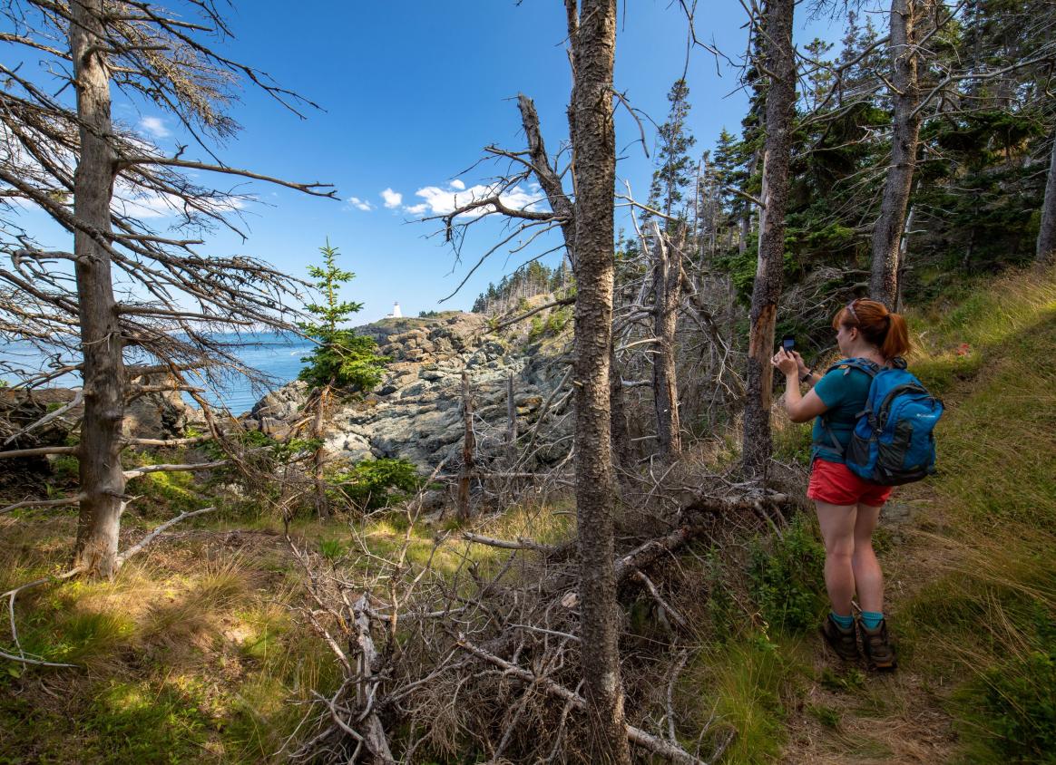 Lighthouse Trail, Grand Manan Island