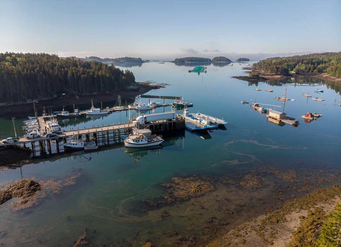 boats at deer island